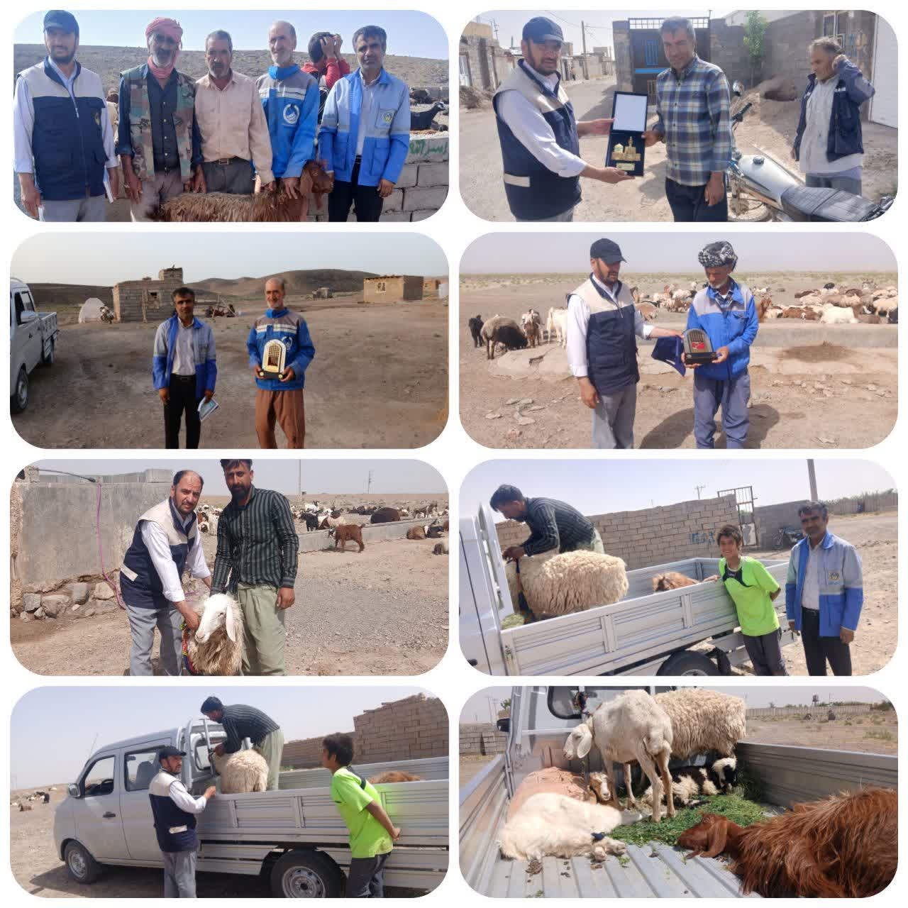 جذب بیش از ۳ میلیارد ریال زکات از نیکوکاران خواف و تقدیر از نیکوکاران پیشرو